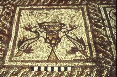 Mosaïque de dauphin, Insula XXVIII, Bâtiment 3, 2e siècle av. J.-C. (mosaïque)