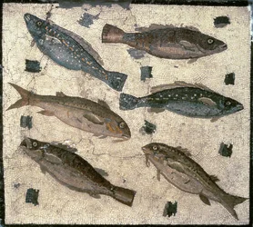 Poisson