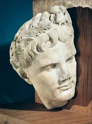 Tête de l