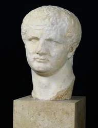 Tête de Titus (39-81)
