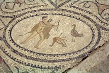 Hercule et les oiseaux de Stymphale, du sol de 