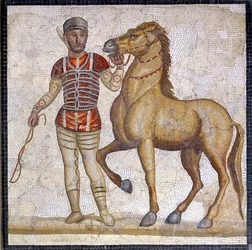 Représentation des quatre factions du cirque romain : les Rouges (factio russata). Les factions étaient des clubs participant aux compétitions du cirque sous le Haut-Empire (Ier siècle apr. J.-C.) et caractérisés par une couleur. Mosaïque, Rome, Museo