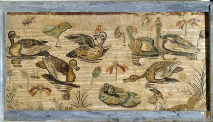 Art romain: canard, grenouille et nénuphars dans un étang. Mosaïque provenant de la maison du Faune à Pompéi. Ier siècle. Dimensions: 132 x 164 cm. Museo Archeologico Nazionale, Naples