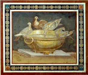 Art romain : quatre colombes buvant à une fontaine. Mosaïque provenant de la Villa Adriana, ou villa d