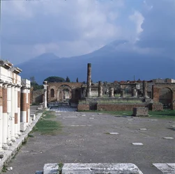 Vue du forum