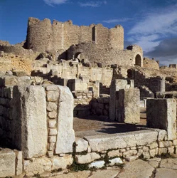 Vue des thermes liciniens