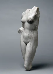 Torse de Vénus