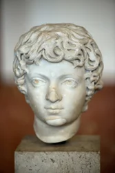 Tête de l