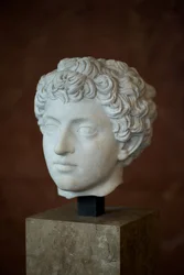 Tête de l
