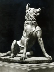 Chien Bull Mastif