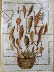 Poisson s