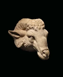Tête de bélier, c.1er siècle av. J.-C. - 1er siècle apr. J.-C.