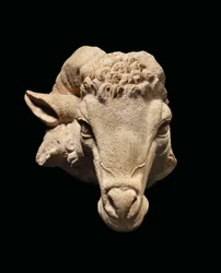 Tête de bélier, vers 1er siècle avant JC - 1er siècle après JC