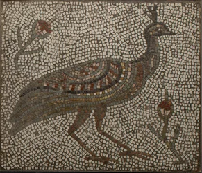 Mosaïque avec un paon et des fleurs, IIIe-IVe siècle