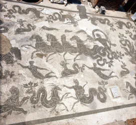 Ostie antique : mosaïque des thermes de Neptune