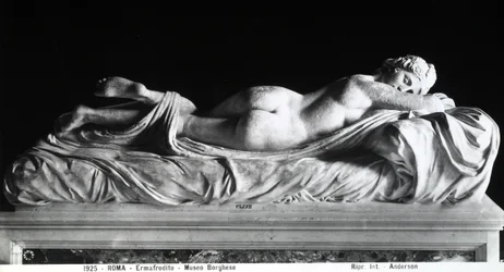 Hermaphrodite endormi