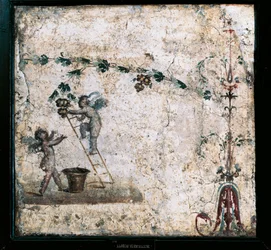 Fresque du troisième style représentant des Cupidons récoltant, de la maison de Marcus Lucretius à Pompéi