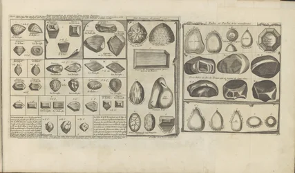 Diamants, rubis et perles