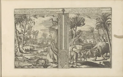 Animaux des Indes occidentales