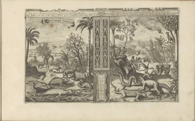Animaux des Indes occidentales