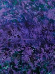 Traits violets éclatants