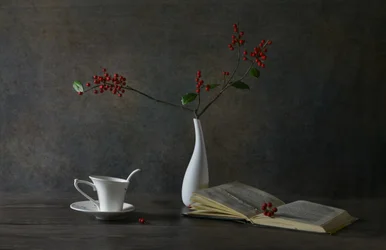 Nature morte « Lecture douillette »