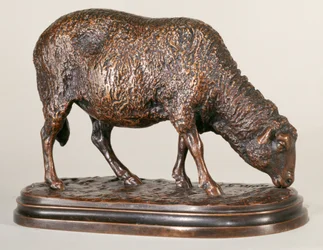 Un mouton en pâturage
