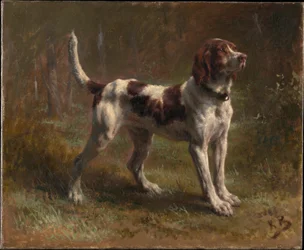 Un chien Limier Briquet