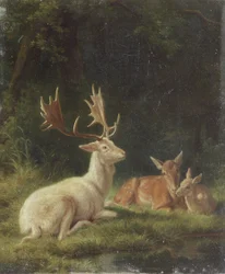 Cerf dans un paysage