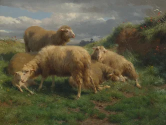 Un paysage avec des moutons