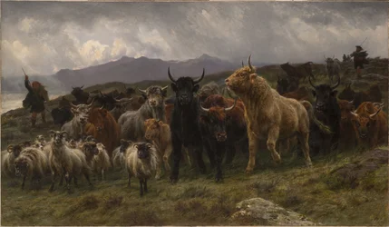 Raid dans les Highlands