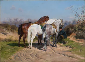 Chasse en relais