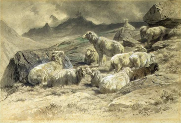 Mouton