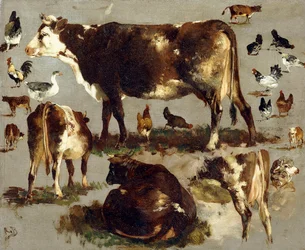 Études de vaches, poules, coqs, une oie et un mouton