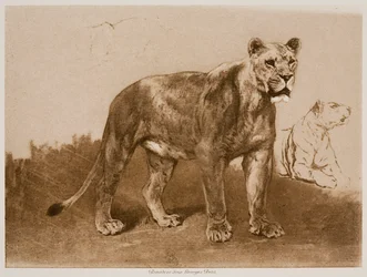 Études d