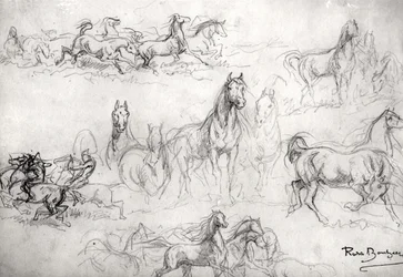 Étude de chevaux