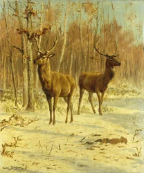 Deux Cerfs dans une Clairière en Hiver