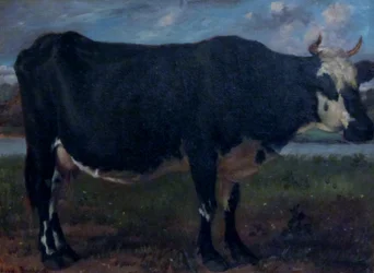 Vache