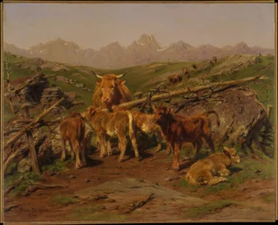 Le sevrage des veaux