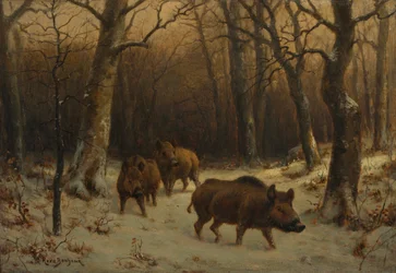 Sangliers dans la neige, vers 1872-1877.