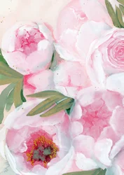 Pivoines rose pâle