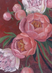 Élégantes pivoines roses