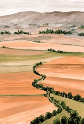 Panorama des champs vallonnés