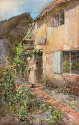 Le Merle