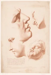 Têtes d