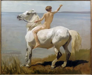 Garçon sur un cheval blanc