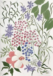 Fleurs multicolores du jardin
