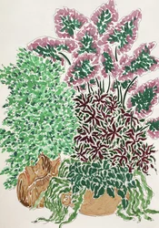 Plantes en pot aux couleurs vives