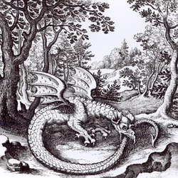 Un Dragon dans la Forêt, de 