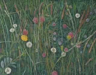 Plantes du Machair, 2008